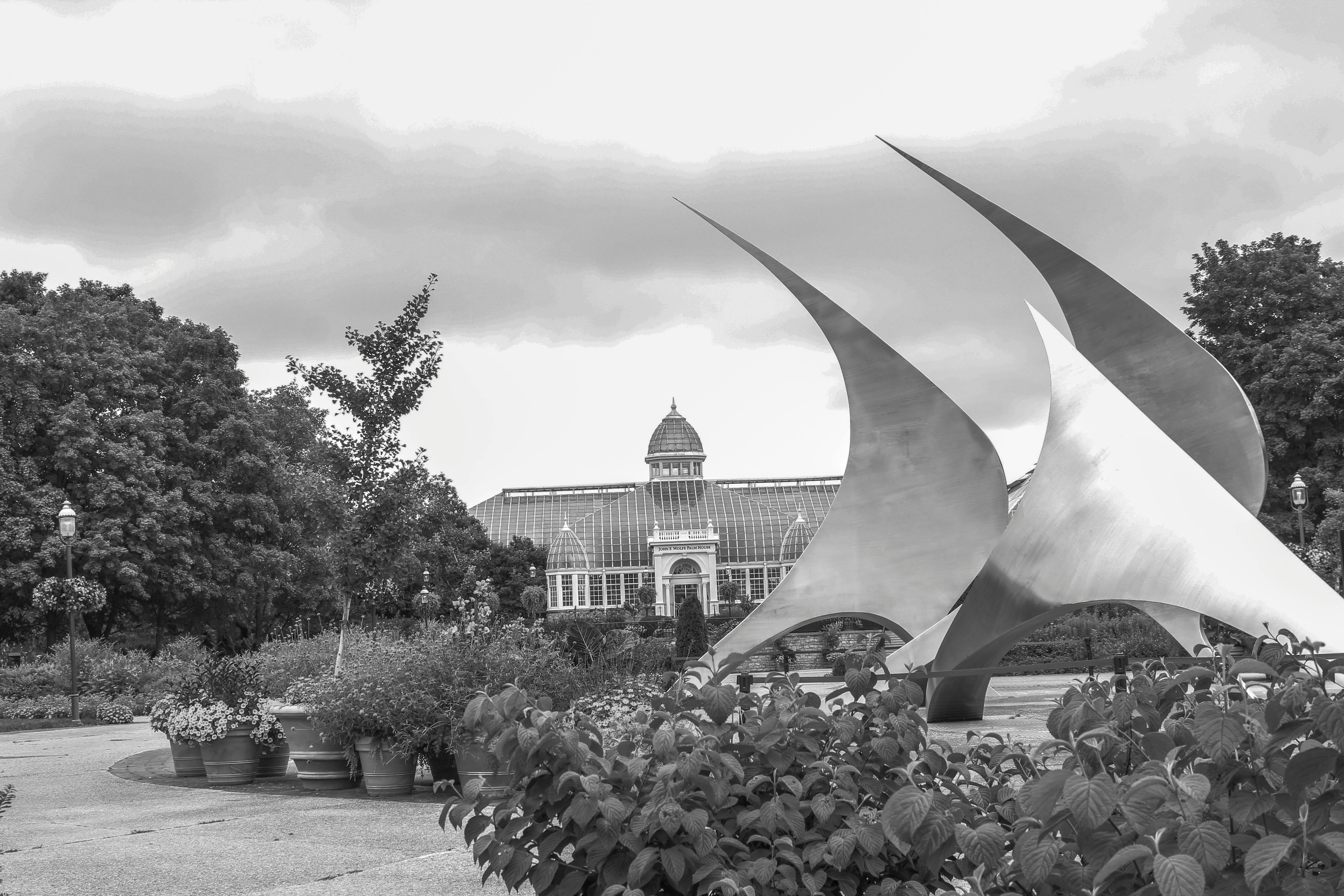 Video testimonial thumbnail