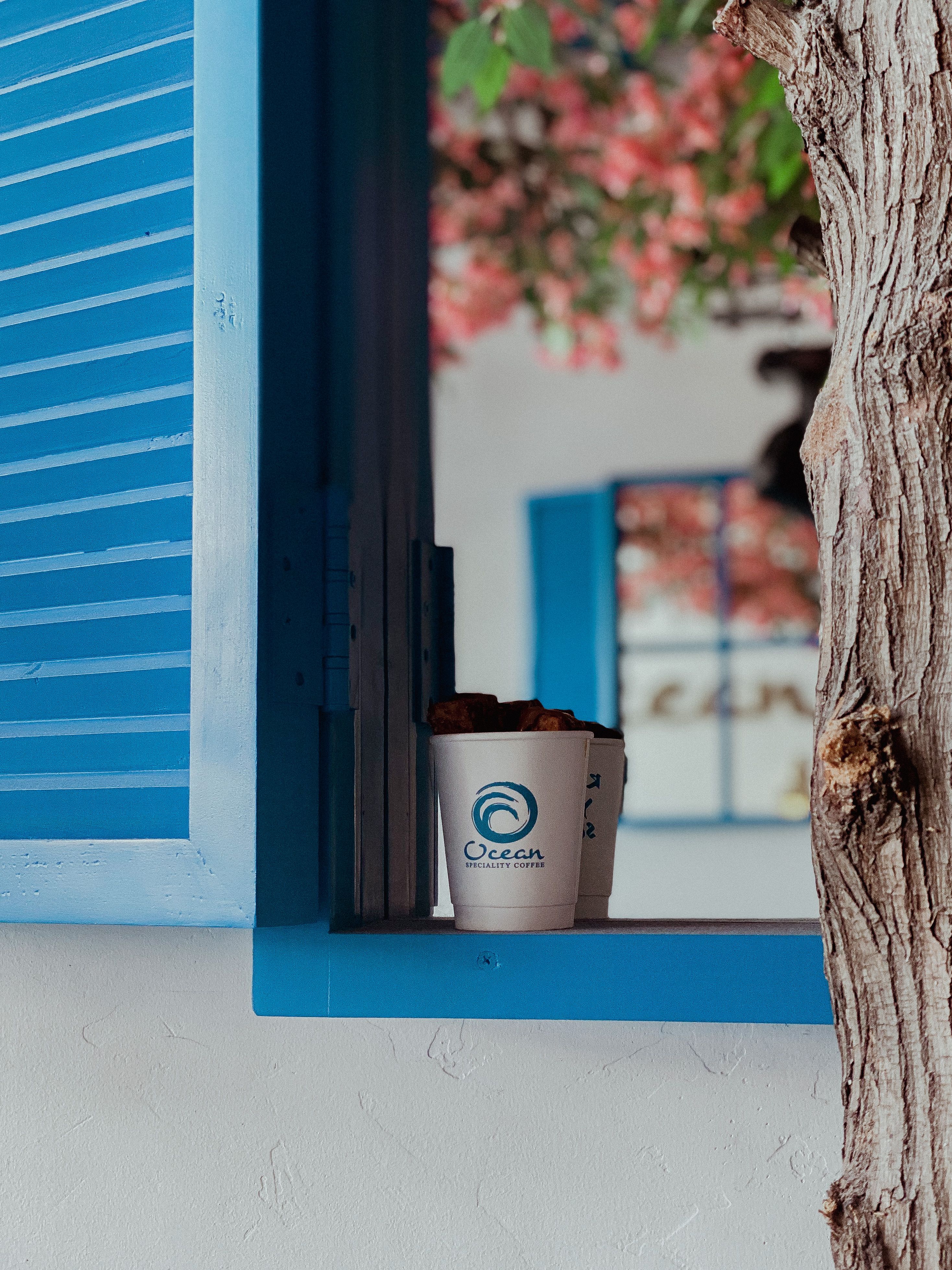 A Paper Cup on a Window sill · Free Stock Photo
