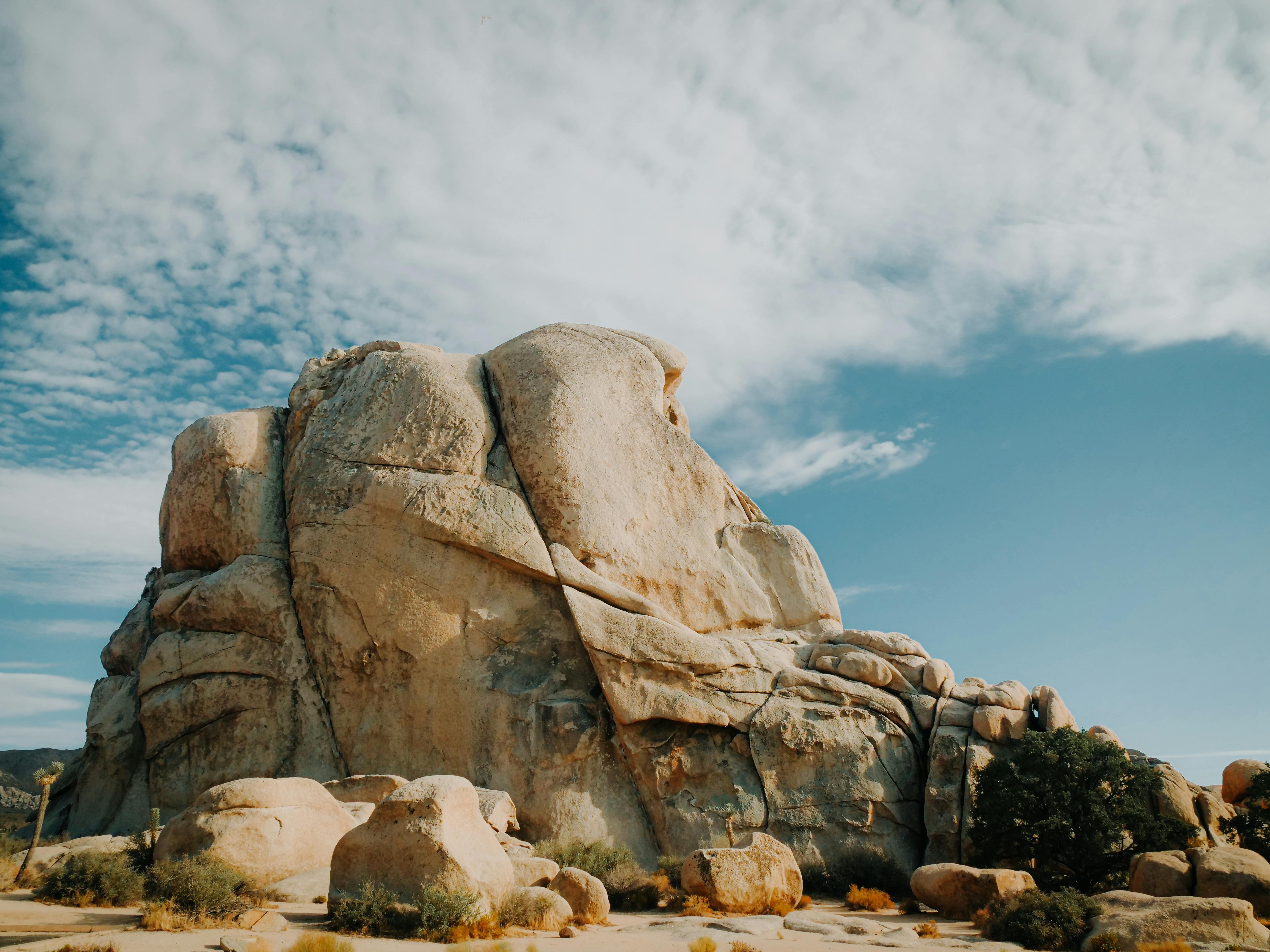 100,000+ Best Joshua Tree National Park Photos · 100% Free Download ...