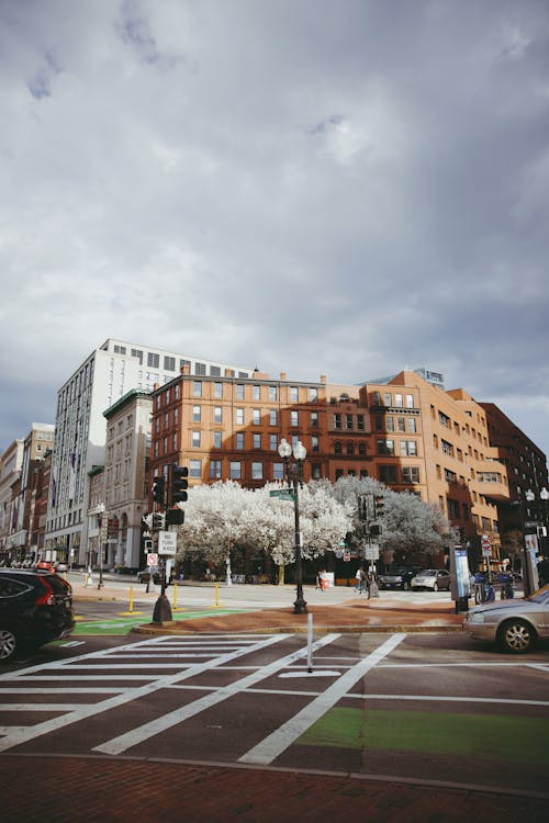 Traffic Lines in Front of a Brown Building