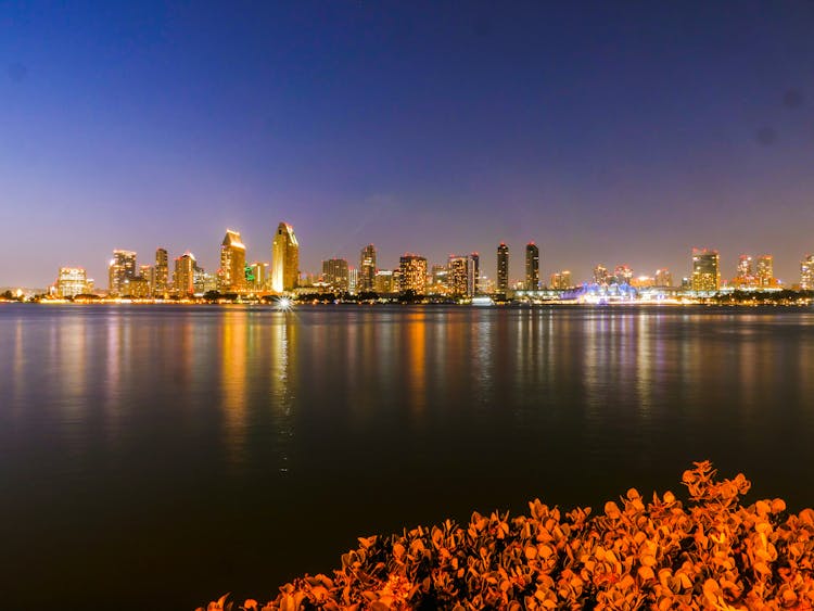 City Skyline Across Body Of Water During Night Time