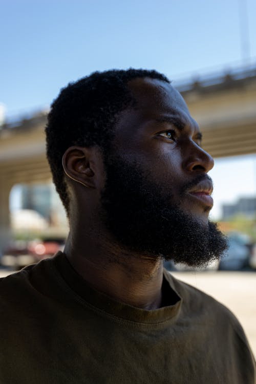 A Bearded Man Looking Afar