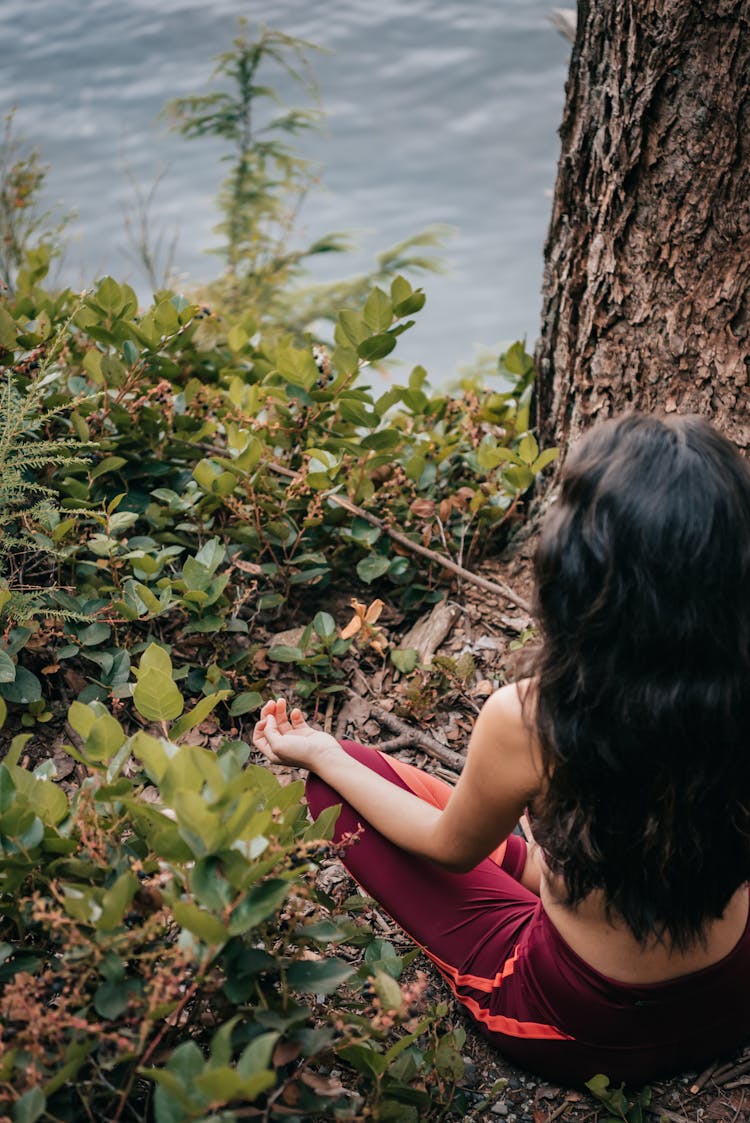 Back View Of A Person Sitting On The Ground