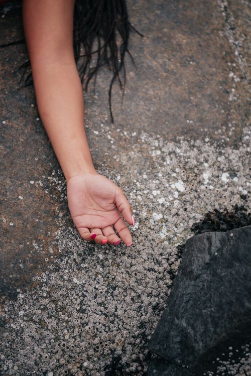 Free A hand rests on a barnacle-covered rock, showcasing natural textures. Stock Photo