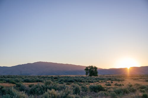 Free The Sun Setting on a Scenic Landscape Stock Photo