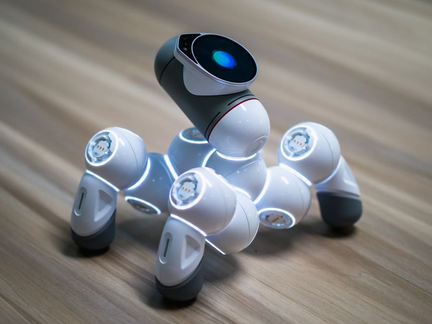 AI Autonoma: La Nuova Frontiera che Ridefinisce il Business Italiano