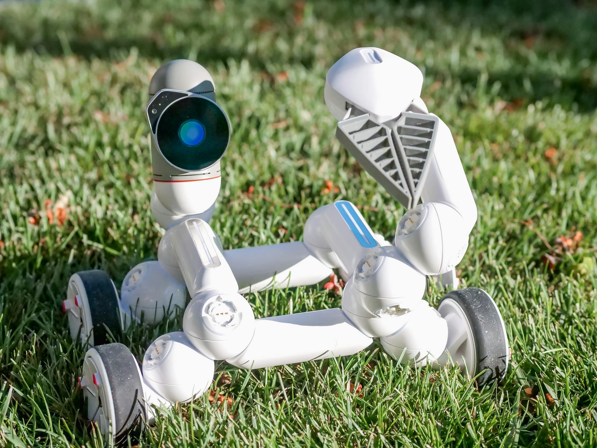 A White and Black Robot Toy
