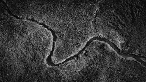 Black and White Aerial Photography of a River in Meanders