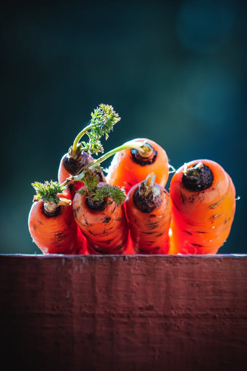 Orange Carrots laid on wood Panel