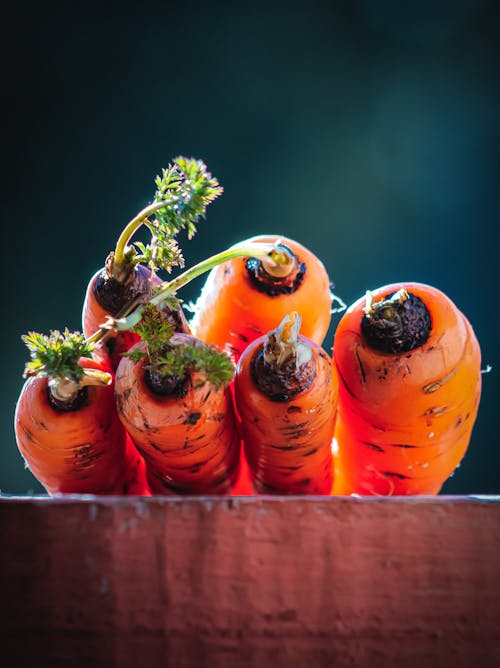Close-up of a Bunch of Carrots