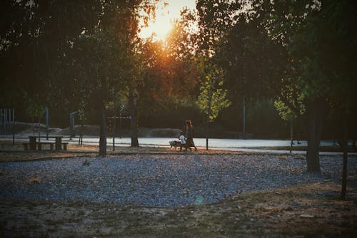 Free Fotos de stock gratuitas de agua, al aire libre, amanecer Stock Photo