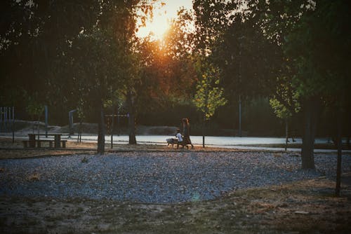 People Walking in Park during Sunset