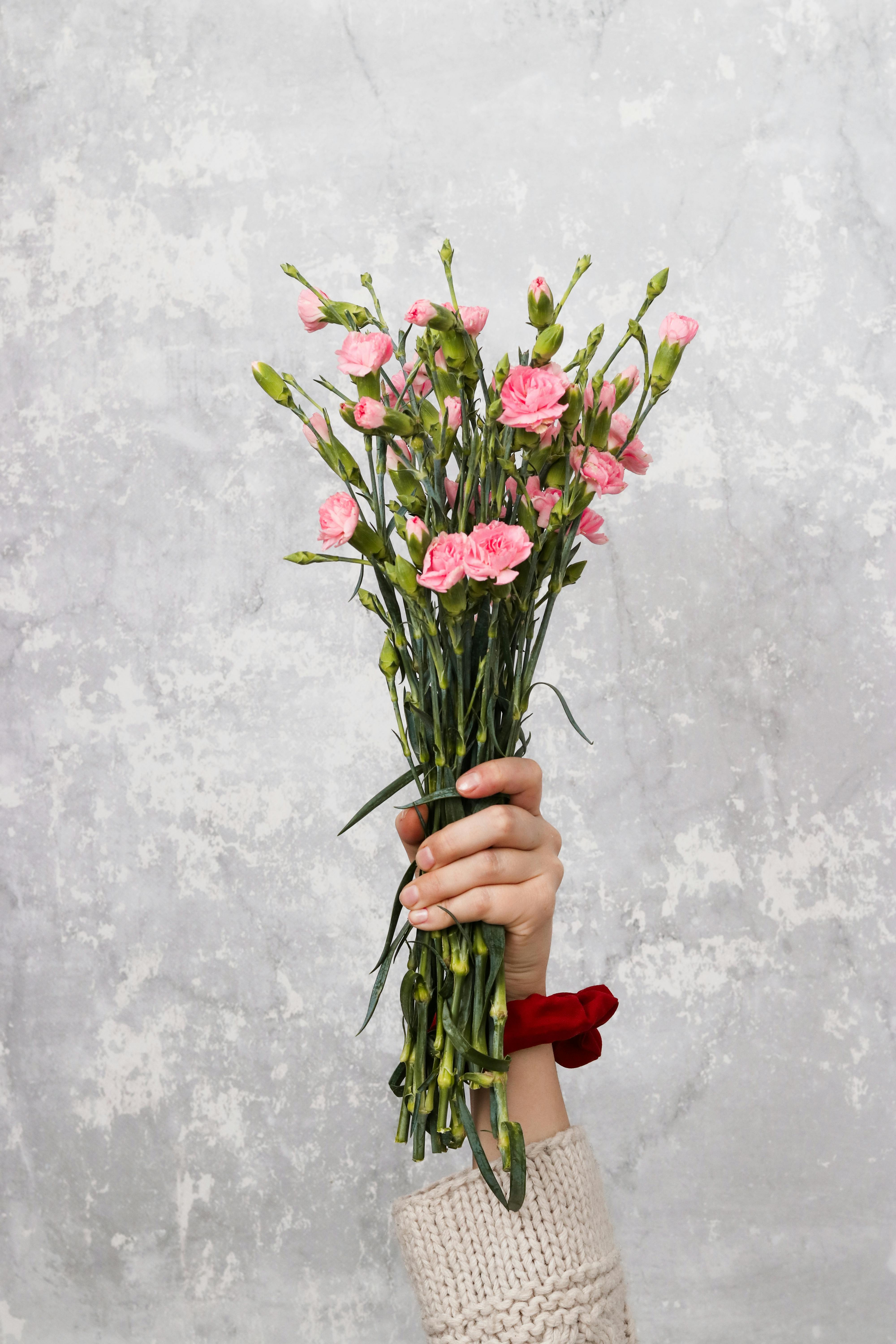 A bouquet of pink carnations held by a hand against a textured gray background.