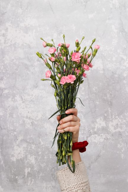 A bouquet of pink carnations held by a hand against a textured gray background.