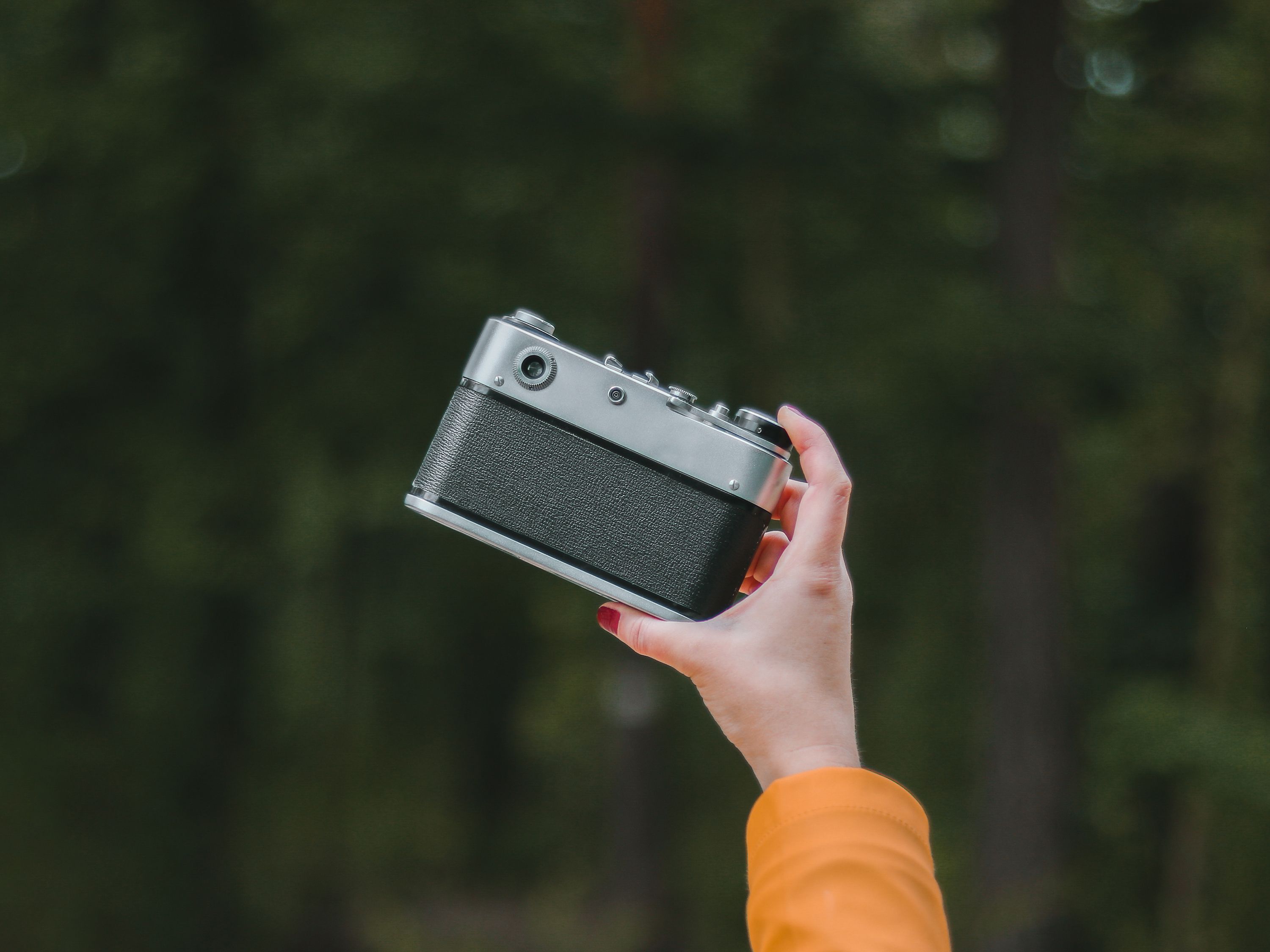 A person holds a vintage camera outdoors in a peaceful forest setting.
