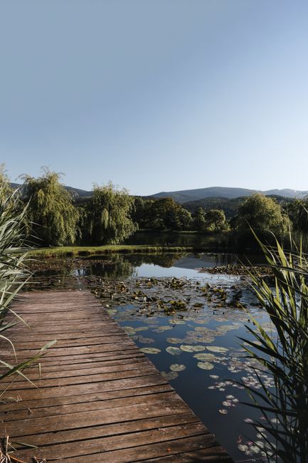 A peaceful scene of a wooden dock on a pond surrounded by lush greenery and distant mountains.
