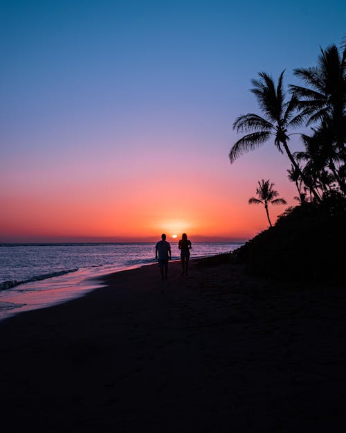 Silhouette of Two People Walking on the Beach during Sunset