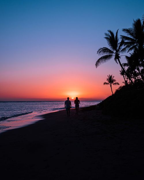Free A couple walks along a tropical beach at sunset with palm trees and vibrant sky. Stock Photo