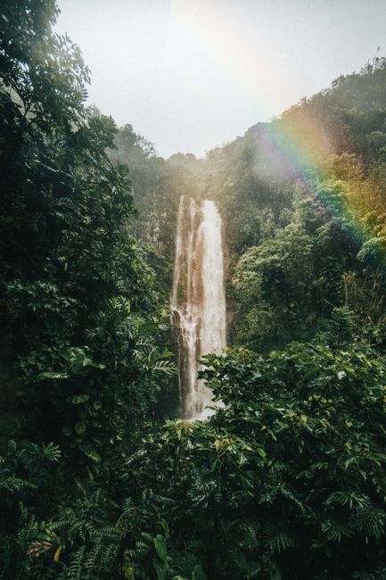 A tranquil scene of a majestic waterfall amidst dense green forest, adorned with a vibrant rainbow.