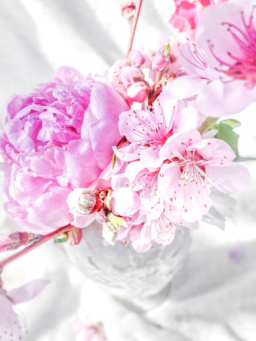 Foto profissional grátis de arranjo de flores, aumento, de flores