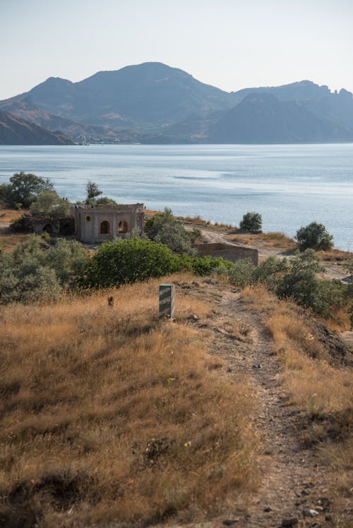 Immagine gratuita di acqua, campo marrone, mare