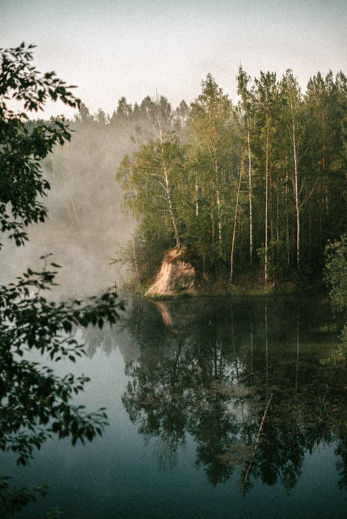 Ilmainen kuvapankkikuva tunnisteilla heijastus, järvi, lehdet