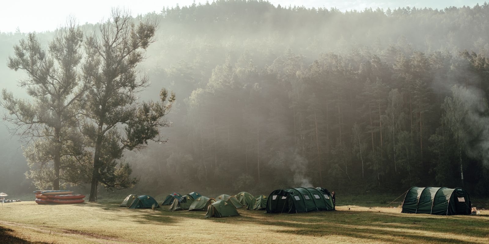 Tents set up in a misty forest clearing at a campsite