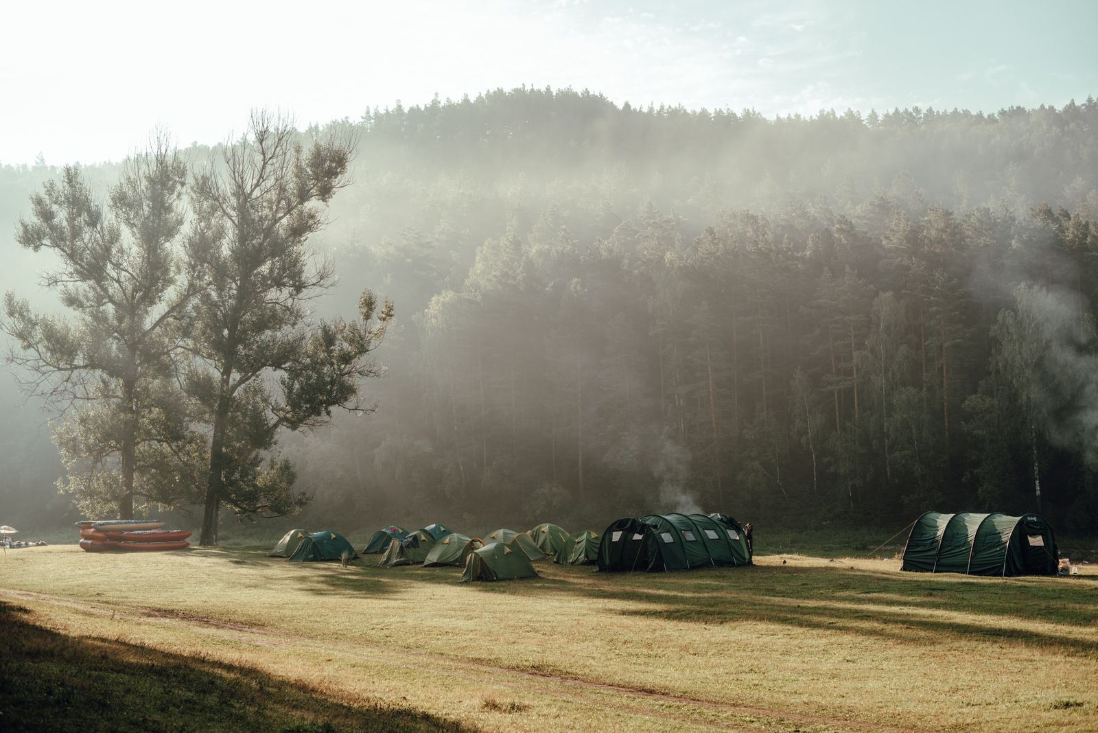Tents pitched in a line along the meadow, mist over the pines behind them