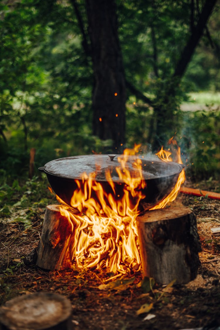 Cooking Pot On Firewood