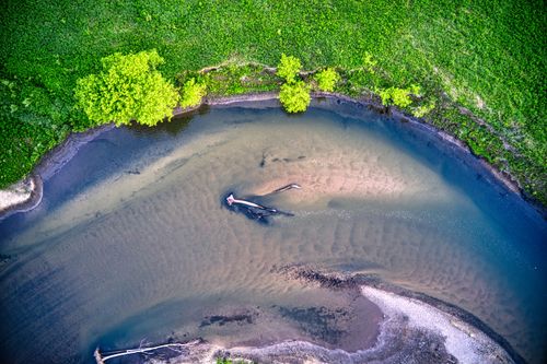 Free A captivating aerial view of a lush green riverside landscape in Minnesota, USA. Stock Photo