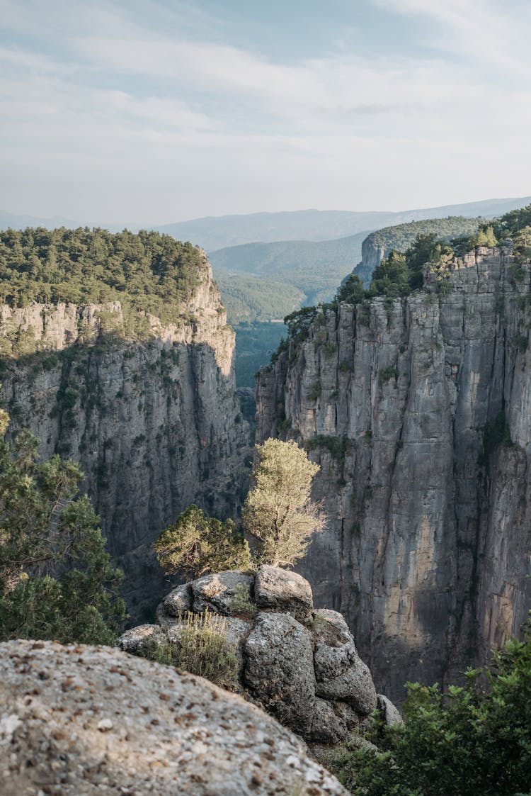 Green Trees On Rocky Cliff