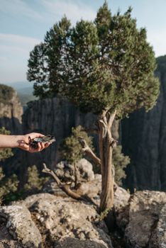 A hand holding a compass with a stunning mountain and tree backdrop, symbolizing exploration and guidance.