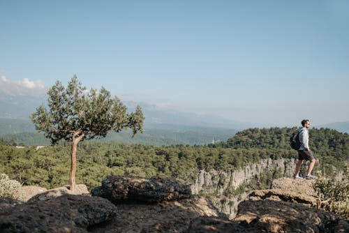 Foto d'estoc gratuïta de a l'aire lliure, arbres, caminada