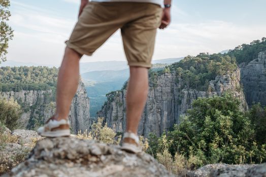 A hiker stands on a rock, enjoying the breathtaking view of a lush canyon landscape under clear skies.