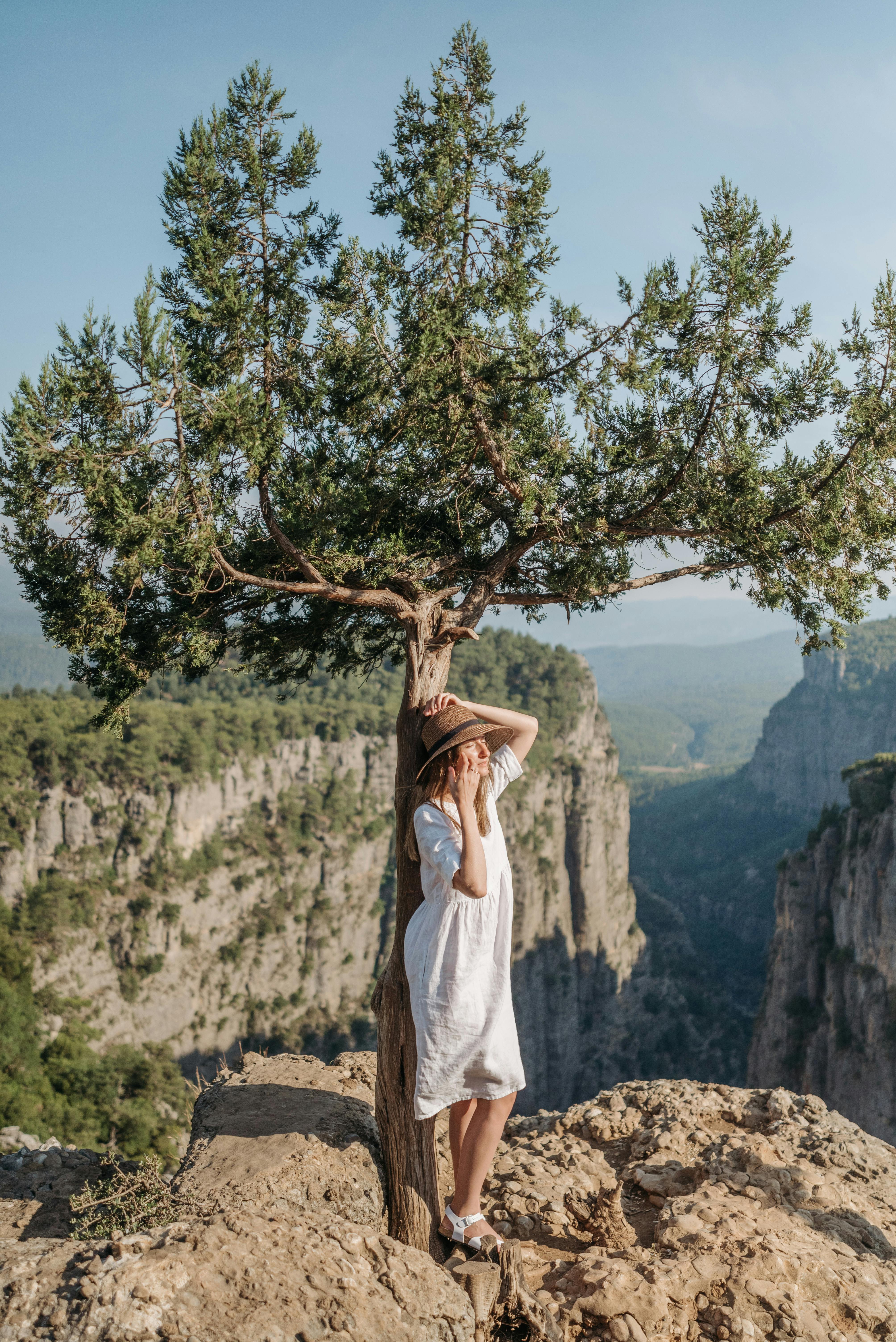 5 Zen Principles For Better Life