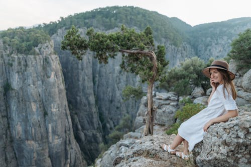 Foto profissional grátis de árvore, cânion, mulher