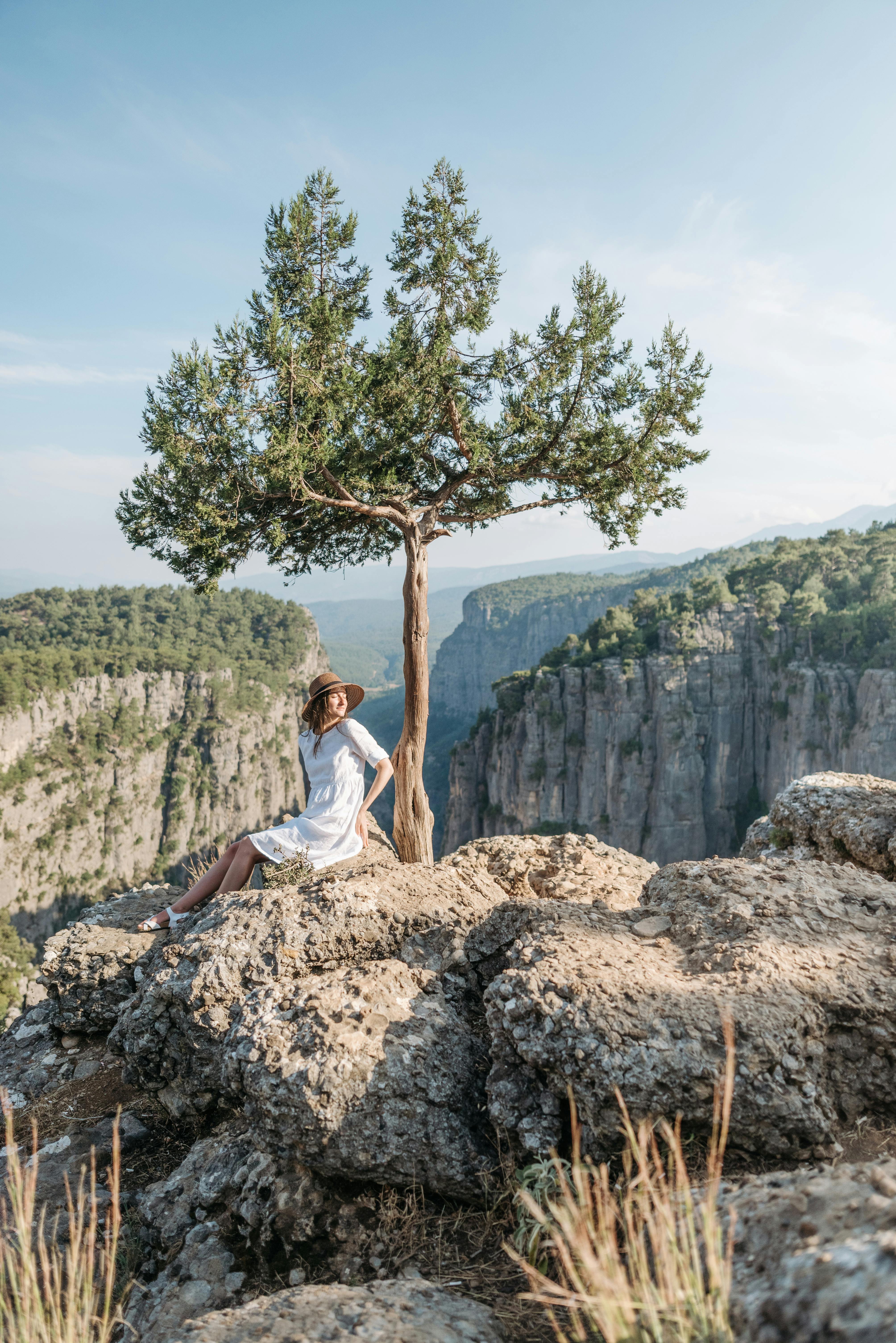 A serene scene of a woman in a white dress sitting by a tree overlooking a picturesque canyon.
