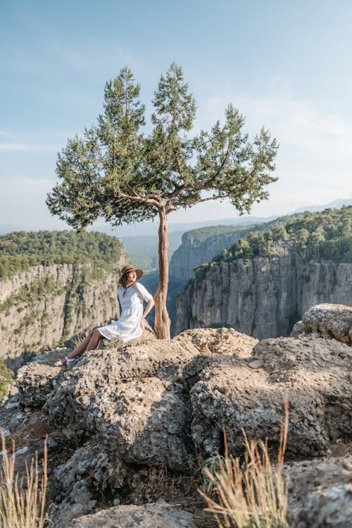 бесплатная Бесплатное стоковое фото с дерево, каньон, на открытом воздухе Стоковое фото