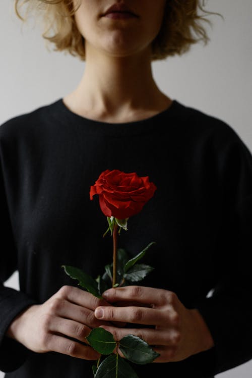 Woman in Black Long Sleeves Holding Red Rose 