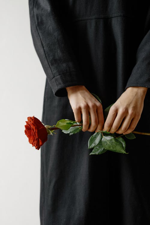 A Person Holding a Rose 