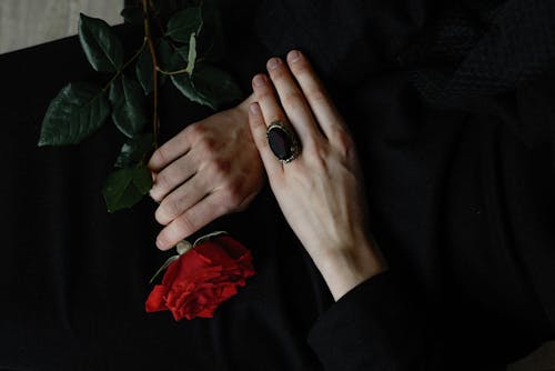 Free Close-Up Shot of a Person Holding a Red Rose Stock Photo