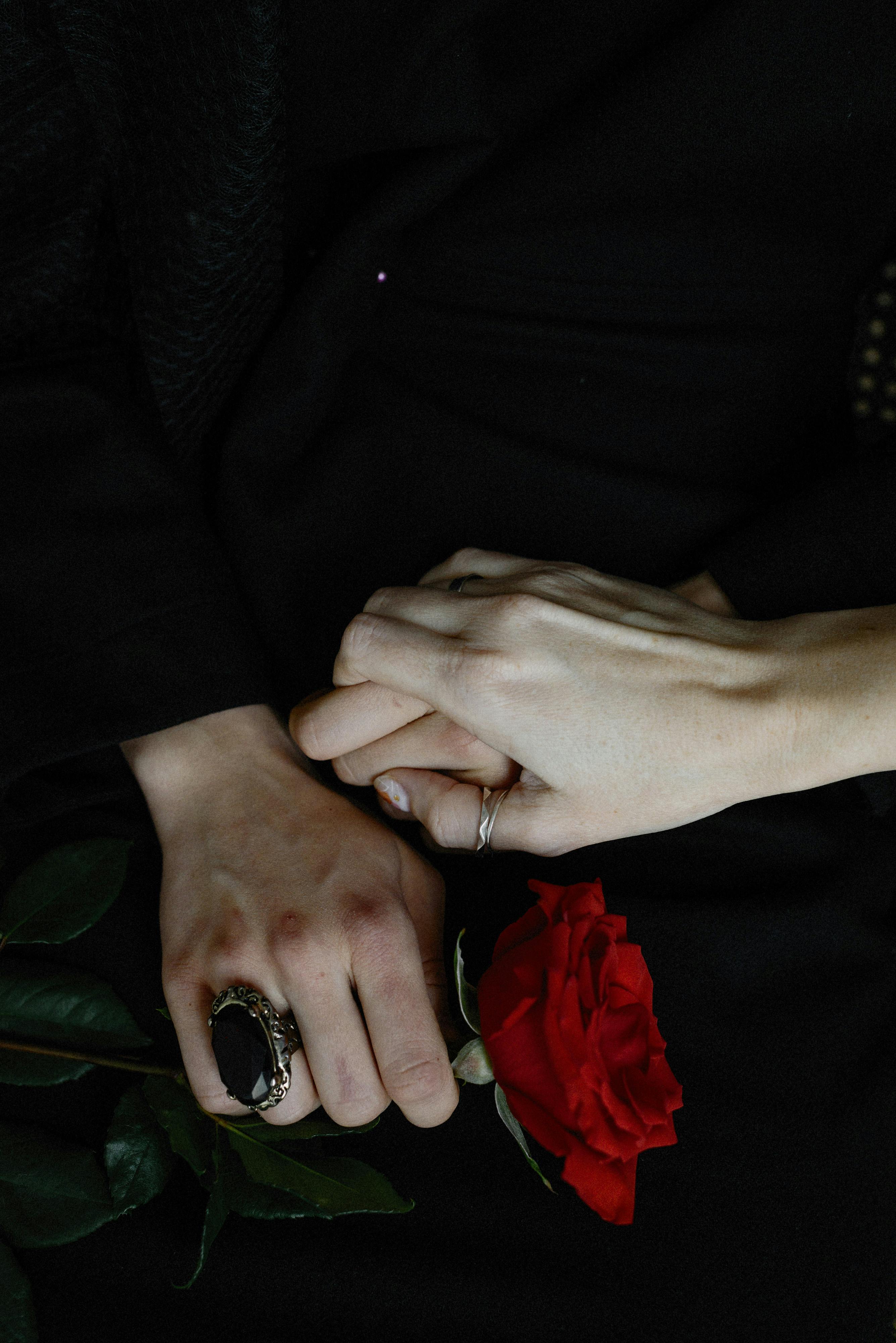 Dramatic capture of intertwined hands with a vibrant red rose symbolizing love and connection.