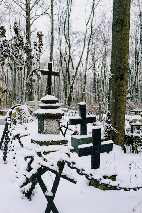 Бесплатное стоковое фото с зима, кладбище, крест