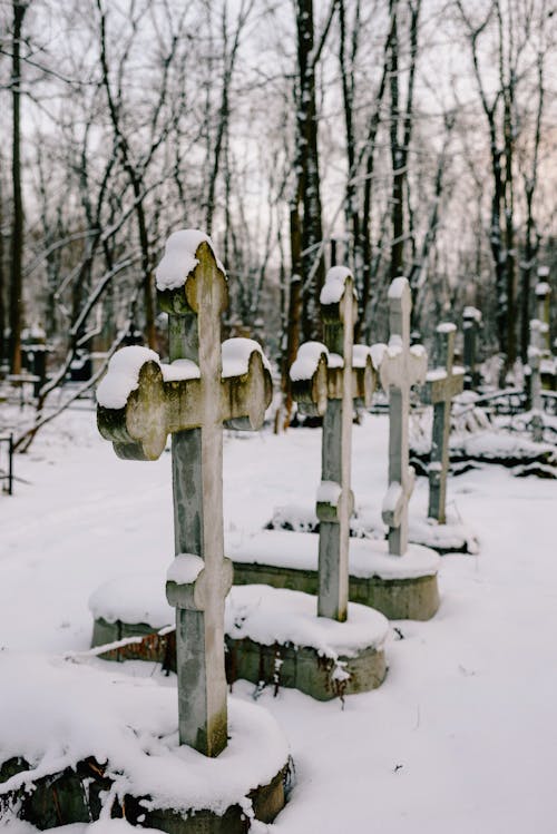 Free A Cemetery Covered in Snow Stock Photo