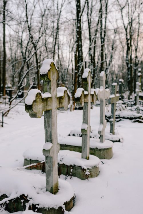 Free A serene winter scene with snow-covered crosses in a forest cemetery. Stock Photo