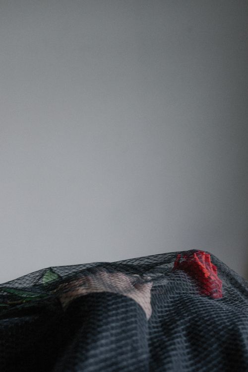 Free A thoughtful portrait capturing a woman under a black veil with a red rose on a gray background. Stock Photo