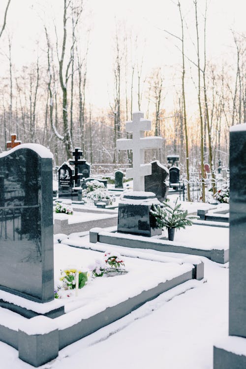 Free Ilmainen kuvapankkikuva tunnisteilla flunssa, hautakivet, hautausmaa Stock Photo