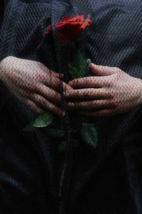 Free An evocative close-up of hands holding a red rose through a black veil, symbolizing grief. Stock Photo