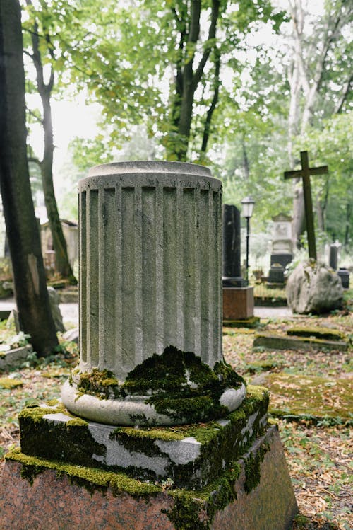 Moss on Grave