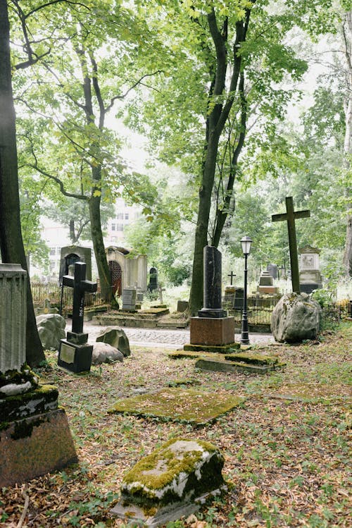 垂直ショット, 埋葬地, 墓地の無料の写真素材